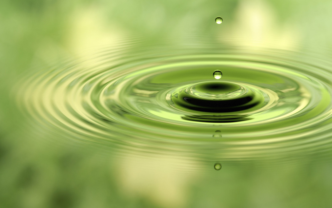 Lorem ipsum dolor sit amet, consectetur adipiscing elit